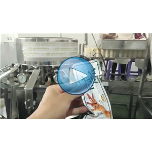 虎皮凤爪给袋式真空包装机，人工投料，温州裕东