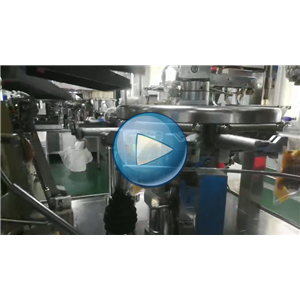 良品铺子盐焗鸡翅，鸡全翅双转盘给袋式真空包装机