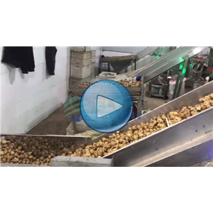 鹌鹑蛋，高速给袋式真空包装机，每分钟79包