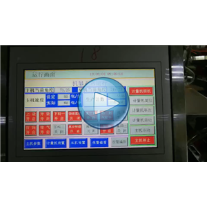 双条豆干给袋式真空包装机，每分钟80包，温州裕东