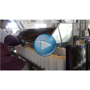 鸡腿给袋式包装机，双转盘真空包装设备