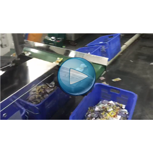 鹌鹑蛋，高速给袋式真空包装机，全自动下料