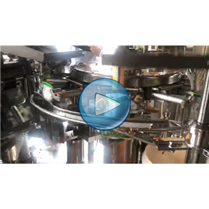 榨菜给袋式真空包装机，每分钟60包，温州裕东