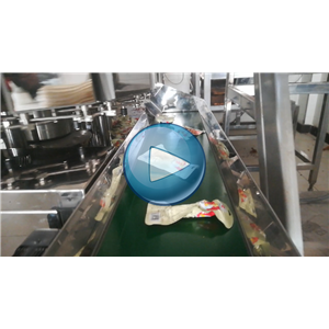 小腿王，给袋式真空包装机，温州裕东