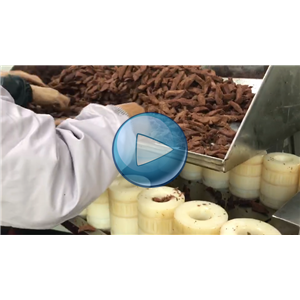 肉干包装机，每分钟60包，温州裕东