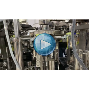 双条豆干高速给袋式真空包装机，90包每分钟，温州裕东