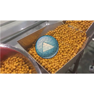 无壳鹌鹑蛋两枚，高速包装机，一分钟75包