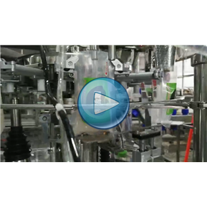 卫龙魔芋粉丝，给袋式包装机，碗式提升机