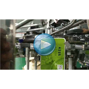 老坛酸笋自动真空包装机，94包/分钟，温州裕东