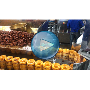 豆腐干给袋式真空包装机，人工投料，高速90包/分钟