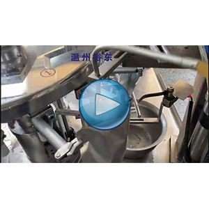 狮子头真空包装机/肉球包装机/四颗狮子头包装机