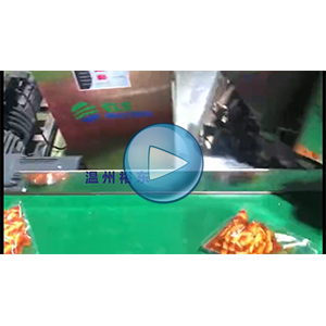 无骨鸡爪包装机，给袋式包装机，真空包装机