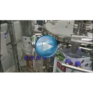 燕麦片给袋机，全自动袋装机+碗式提升机