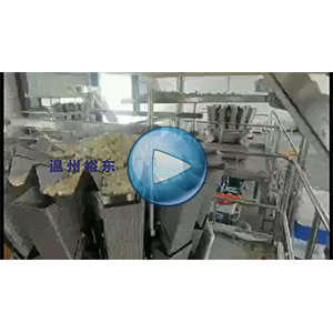 藕带包装机|给袋式真空包装机|全自动计量、下料、抽真空