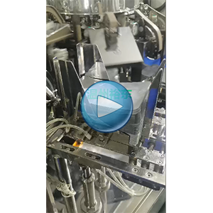 鸡胸肉给袋式真空包装机+碗式提升机