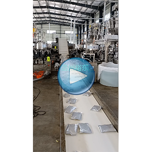 藕带给袋真空包装一体机，48包/分钟