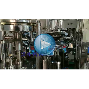 海龙芽包装机，裙带菜包装机，80包/分钟