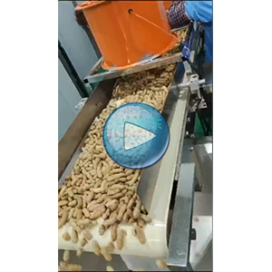带壳花生包装机|给袋式包装机|全自动真空包装机