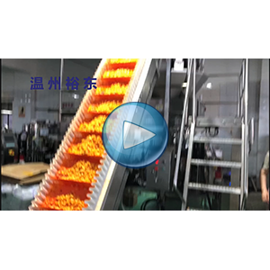 萝卜干|全自动真空包装机|自动计量、自动抽真空封口