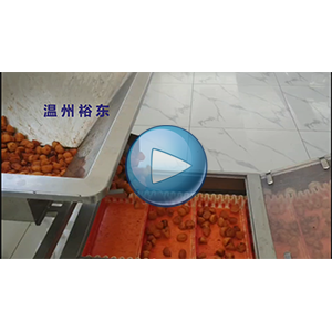 土豆块包装机|土豆粒包装机|给袋式真空包装机