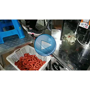 鸭掌包装机|给袋式包装机|真空包装机|环形下料器