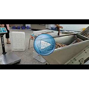 牛肉丸包装机|一枚牛肉丸生产车间视频