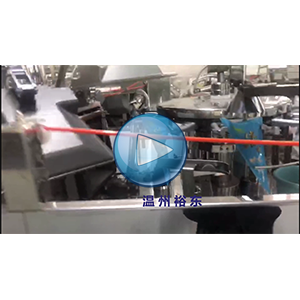 三角袋虾滑包装机，旋转给袋机