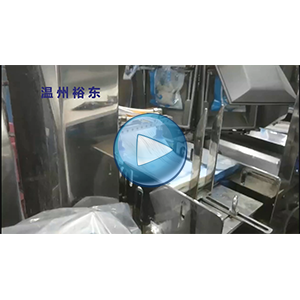 500克虾滑全自动给袋式真空包装机