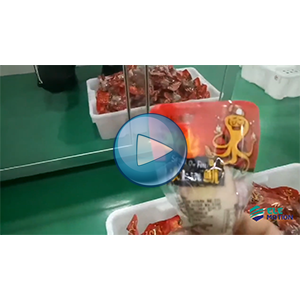 鱿鱼给袋式真空包装机，人工投料，温州裕东