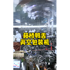 鸭舌真空包装机