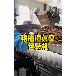 猪油渣真空包装机