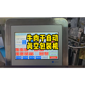 牛肉干真空包装机