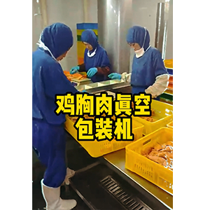 鸡胸肉真空包装机