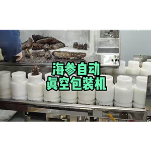 海参真空包装机