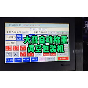 大蒜自动称重真空包装机